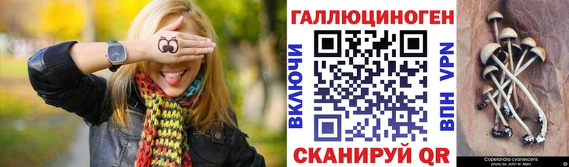 Галлюциногенные грибы Psilocybine cubensis Микунь